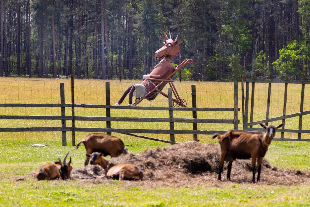Penzion Kozí farma Nový Dvůr Ceská Lípa Exterior foto